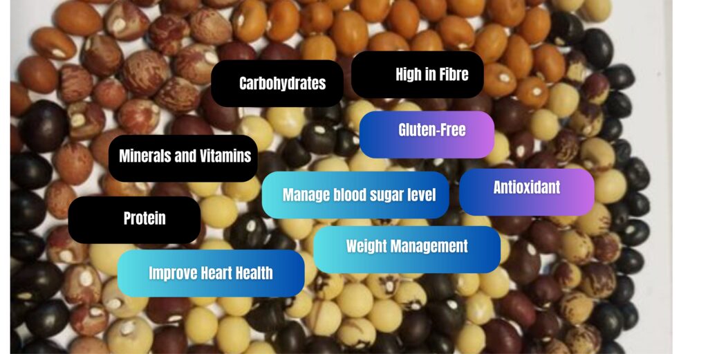 Nutrients and Health Benefits of Bambara Groundnut 