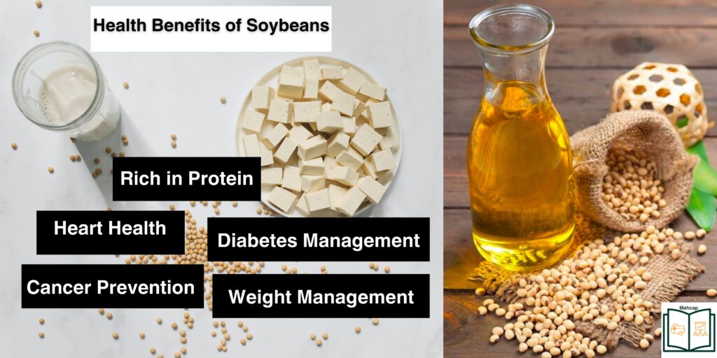 Soybeans nutrition and health benefits.