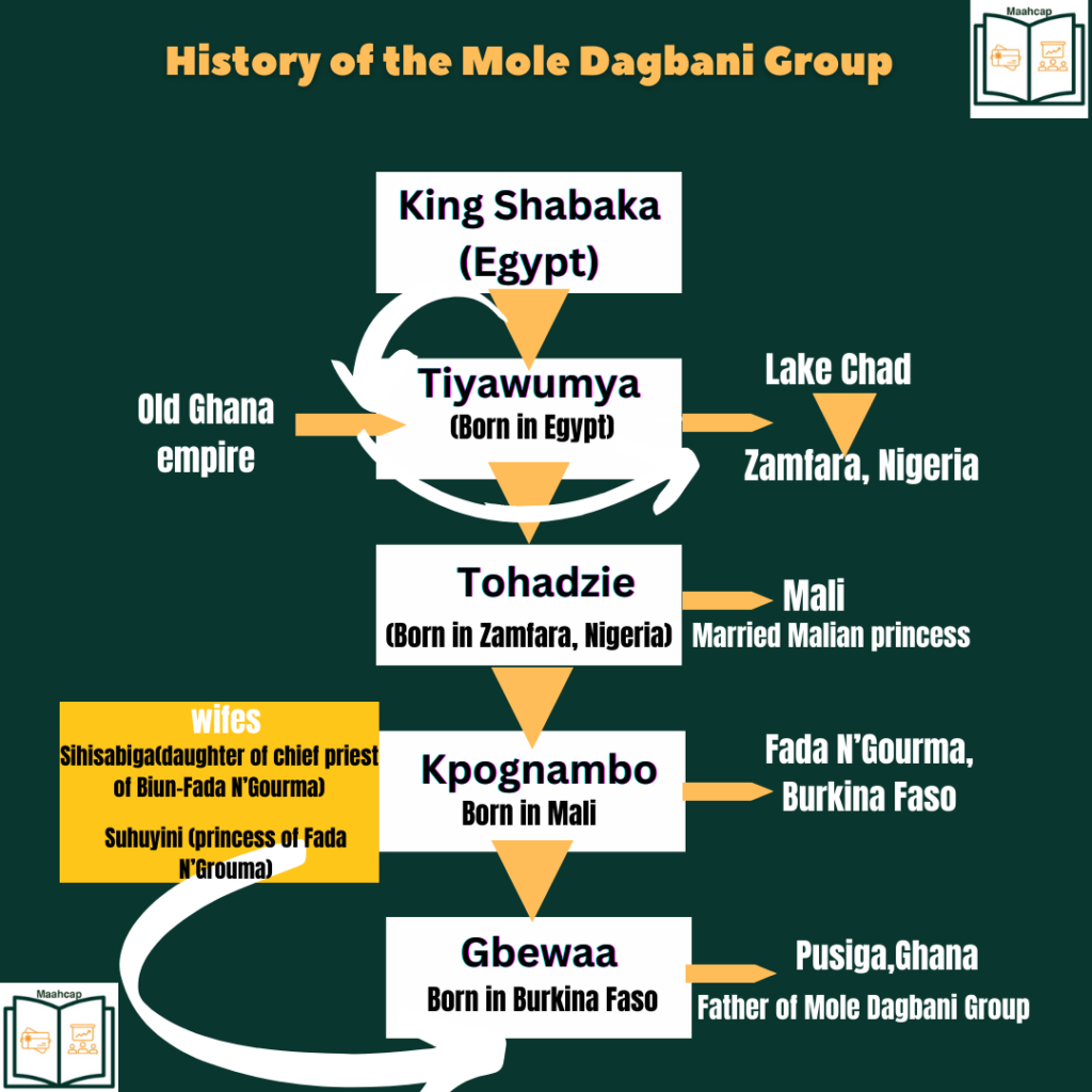 History of Mole Dagbani Group