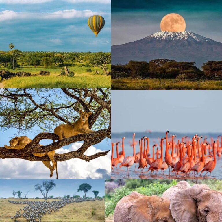 Top Tourist Attractions in Tanzania for Nature Lovers