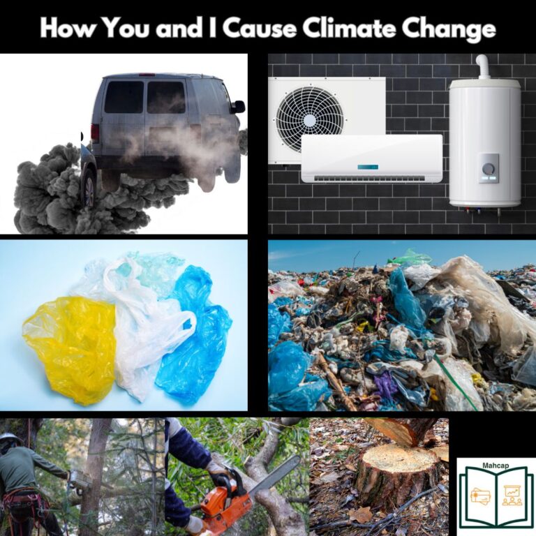 Understanding Climate Change and Our Roles